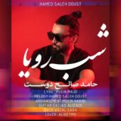 دانلود آهنگ حامد صالح دوست شب رویا